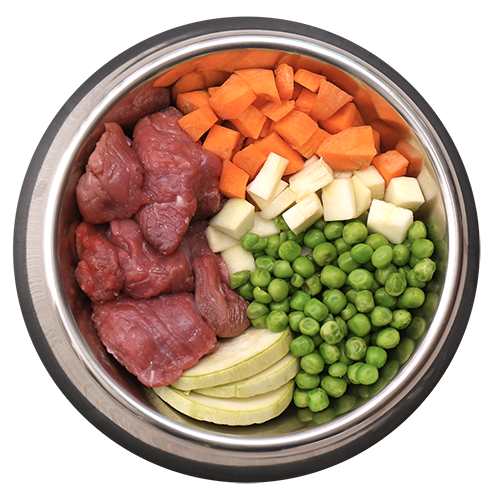 Diet and feeding of the Cane Corso